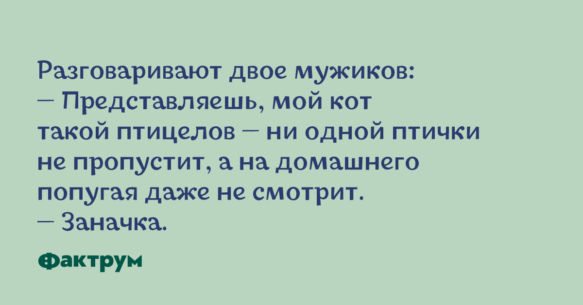 Убойные анекдоты и остроумные приколы для замечательного начала дня
