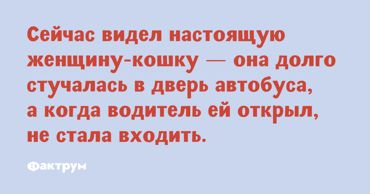Зачётные анекдоты, добавляющие позитива в серые будни