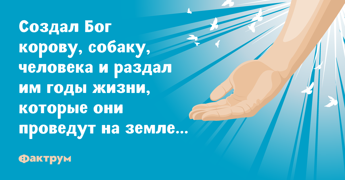 Анекдот про то, как Бог сотворил корову, собаку и человека в 2019 году Анекдот про то, как Бог сотворил корову, собаку и человека в 2019 году