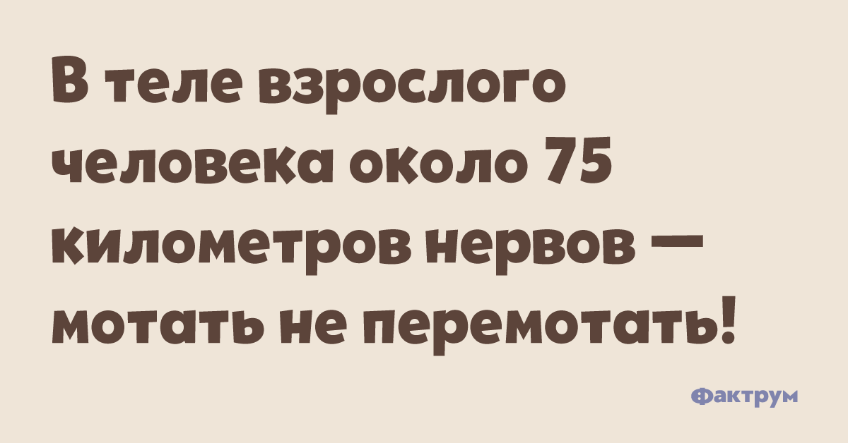 В теле взрослого мужчины 75 километров нервов мотать не перемотать картинки
