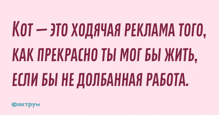 Шутка про прекрасную жизнь и работу