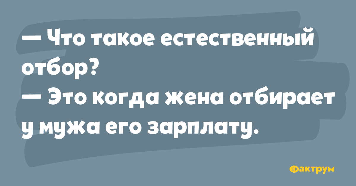 Зарплата мужа. Анекдоты про финансы. Анекдоты про финансистов. Естественный отбор приколы