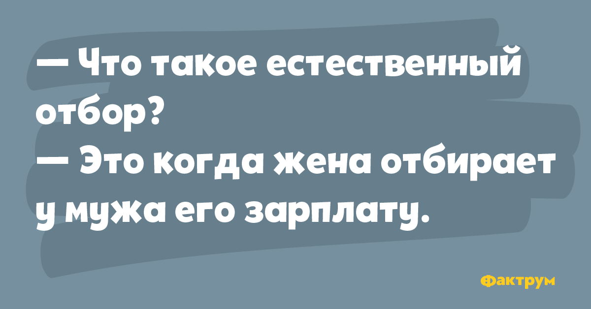 Зарплата мужа. Анекдоты про финансы. Анекдоты про финансистов. Естественный отбор приколы.