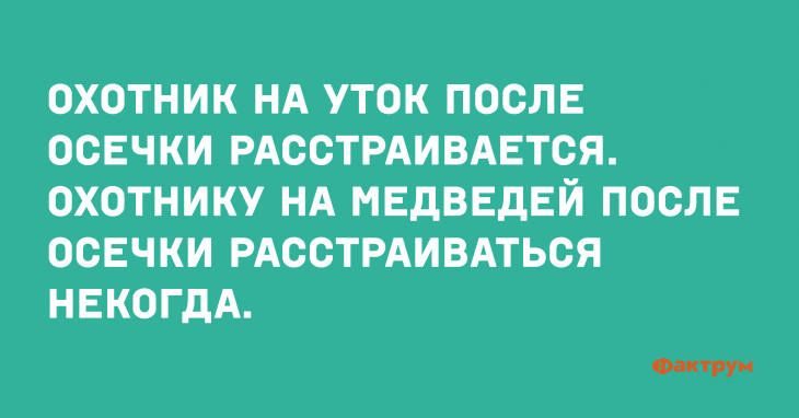 Анекдот о разнице в охотниках на медведей и уток.