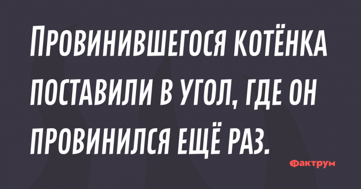 Прикол про провинившегося котенка.