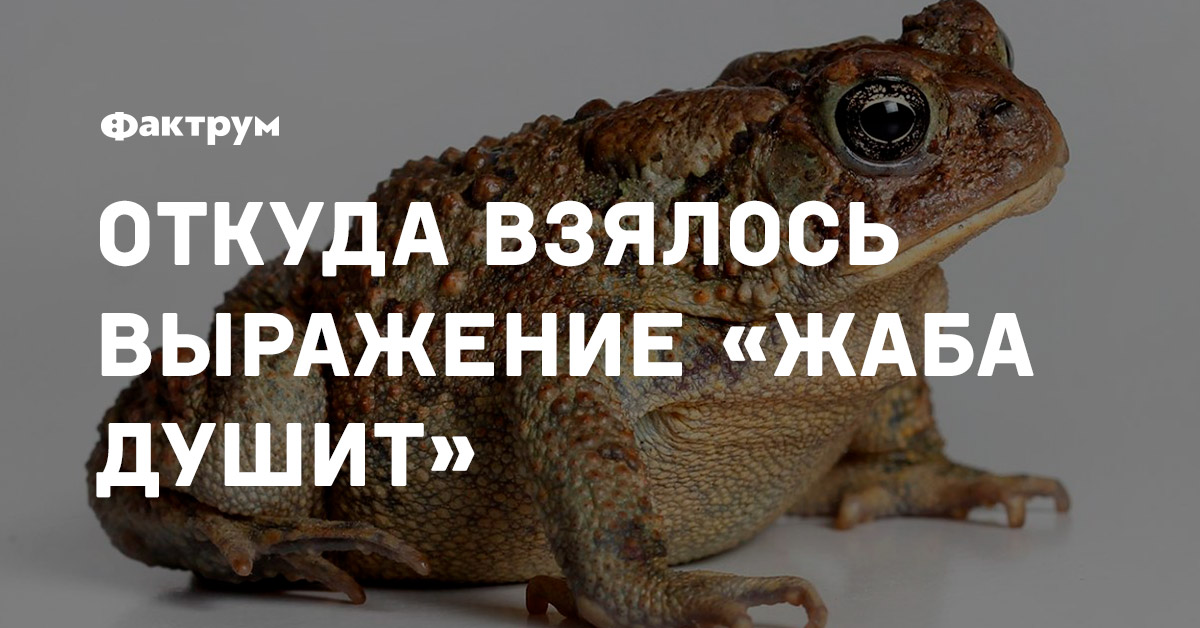 Жаба душит картинки прикольные
