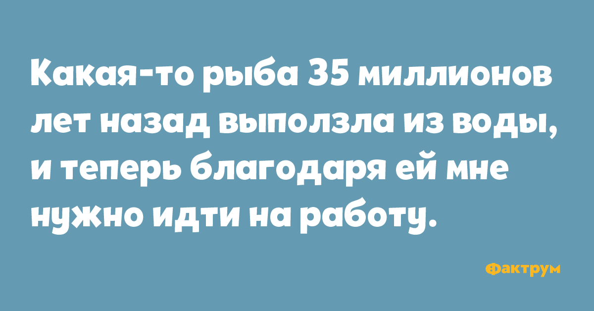 Какая-то рыба 35 миллионов лет назад вползла из воды, и теперь благодаря ей мне нужно идти на работу.