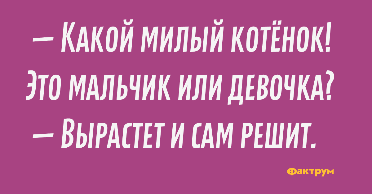 — Какой милый котёнок! Это мальчик или девочка? — Вырастет и сам решит.