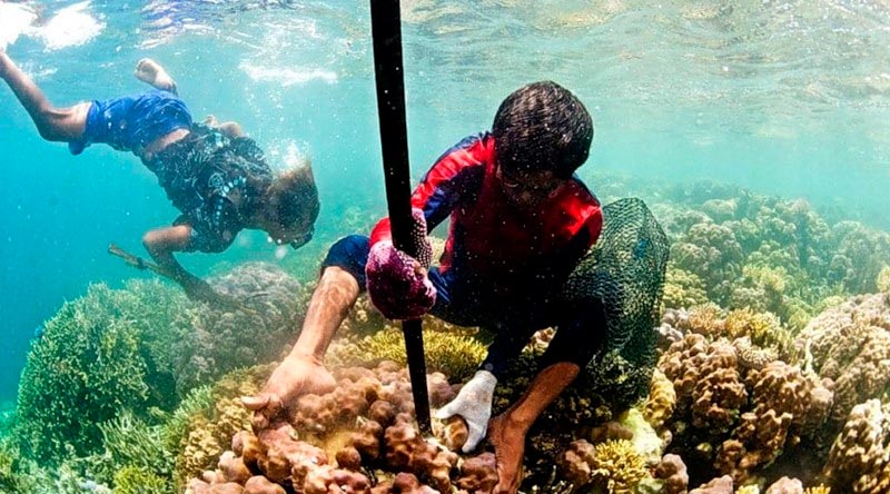 «Морские цыгане» — люди, изменённые водой