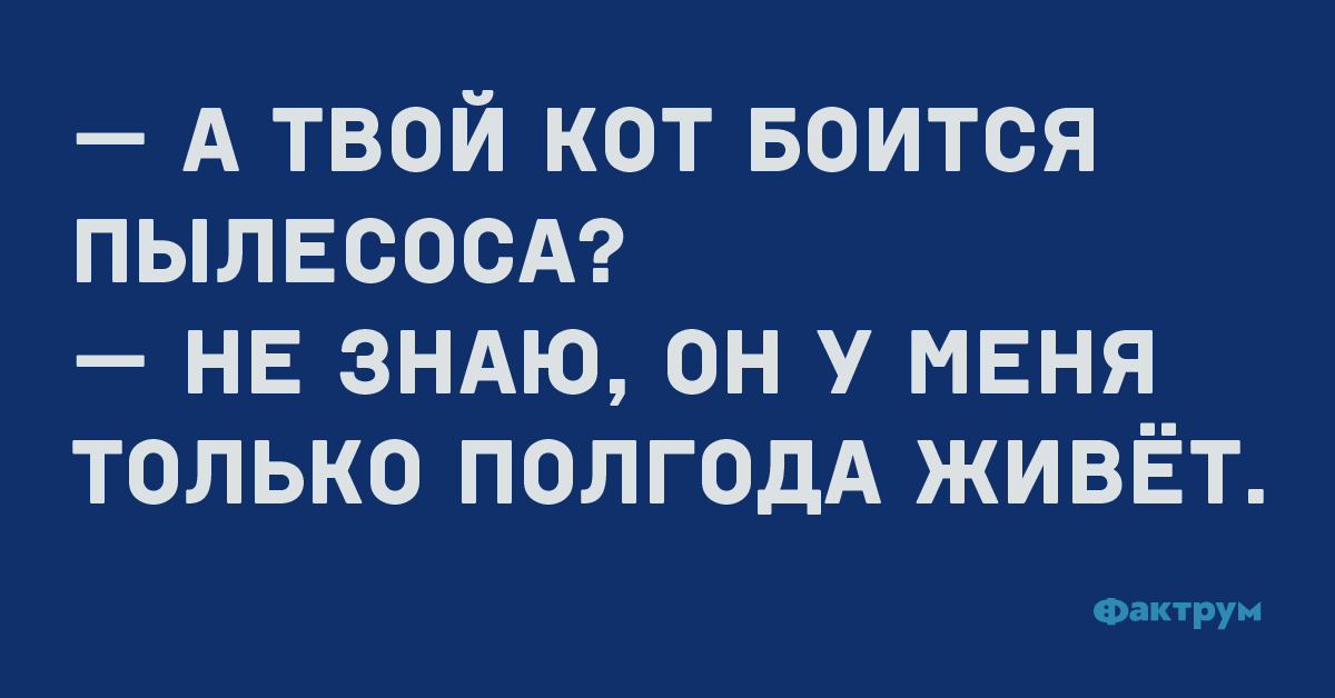 — А твой кот боится пылесоса? — Не знаю, он у меня только полгода живёт.