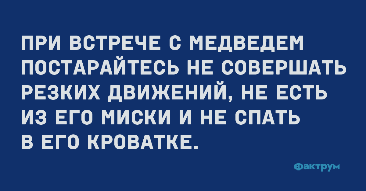 При встрече с медведем постарайтесь не совершать резких движений, не есть из его миски и не спать в его кроватке.