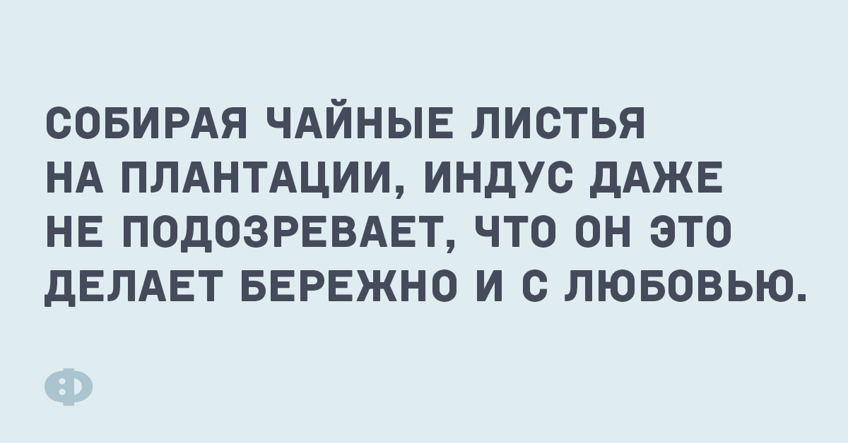 Собираем чайные листья на плантации, индус даже не подозревает, что он это делает бережно и с любовью.