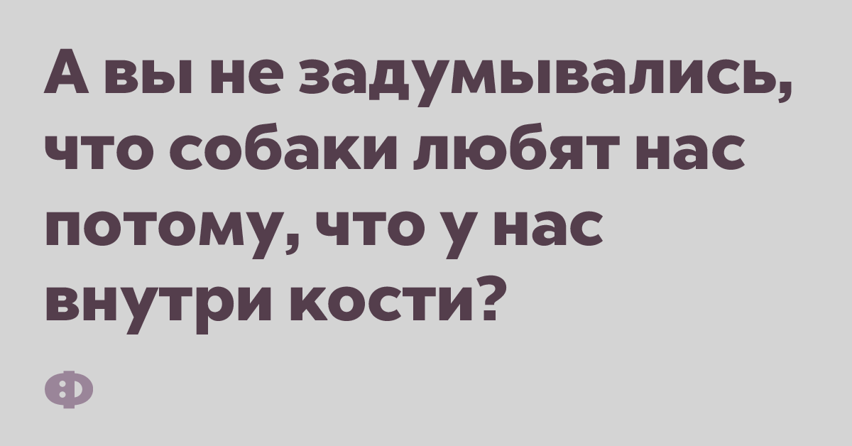 А вы не задумывались, что собаки любят нас потому, что у нас внутри кости?