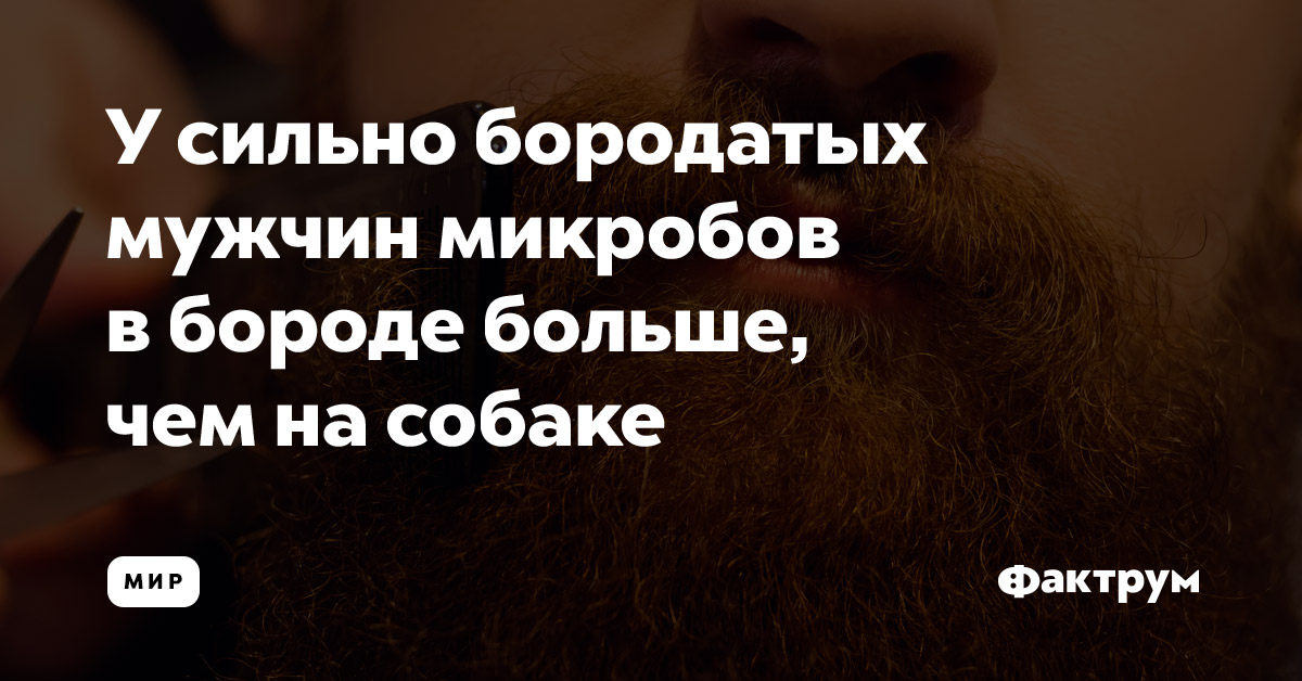 Борода микробы. Борода это как унитаз. Мерзкая борода. Борода. Борода бактерии унитаз.