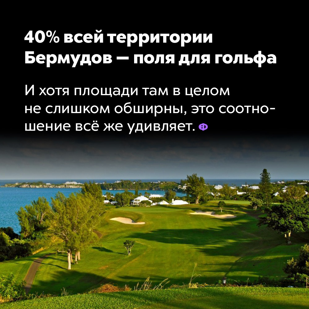 40% всей территории Бермудов — поля для гольфа. И хотя площади там в целом не слишком обширны, это соотношение всё же удивляет.