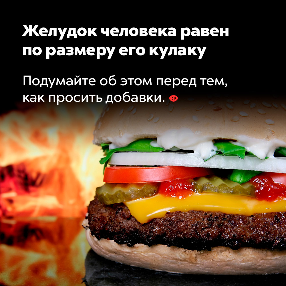 Желудок человека равен по размеру его кулаку. Подумайте об этом перед тем, как просить добавки.