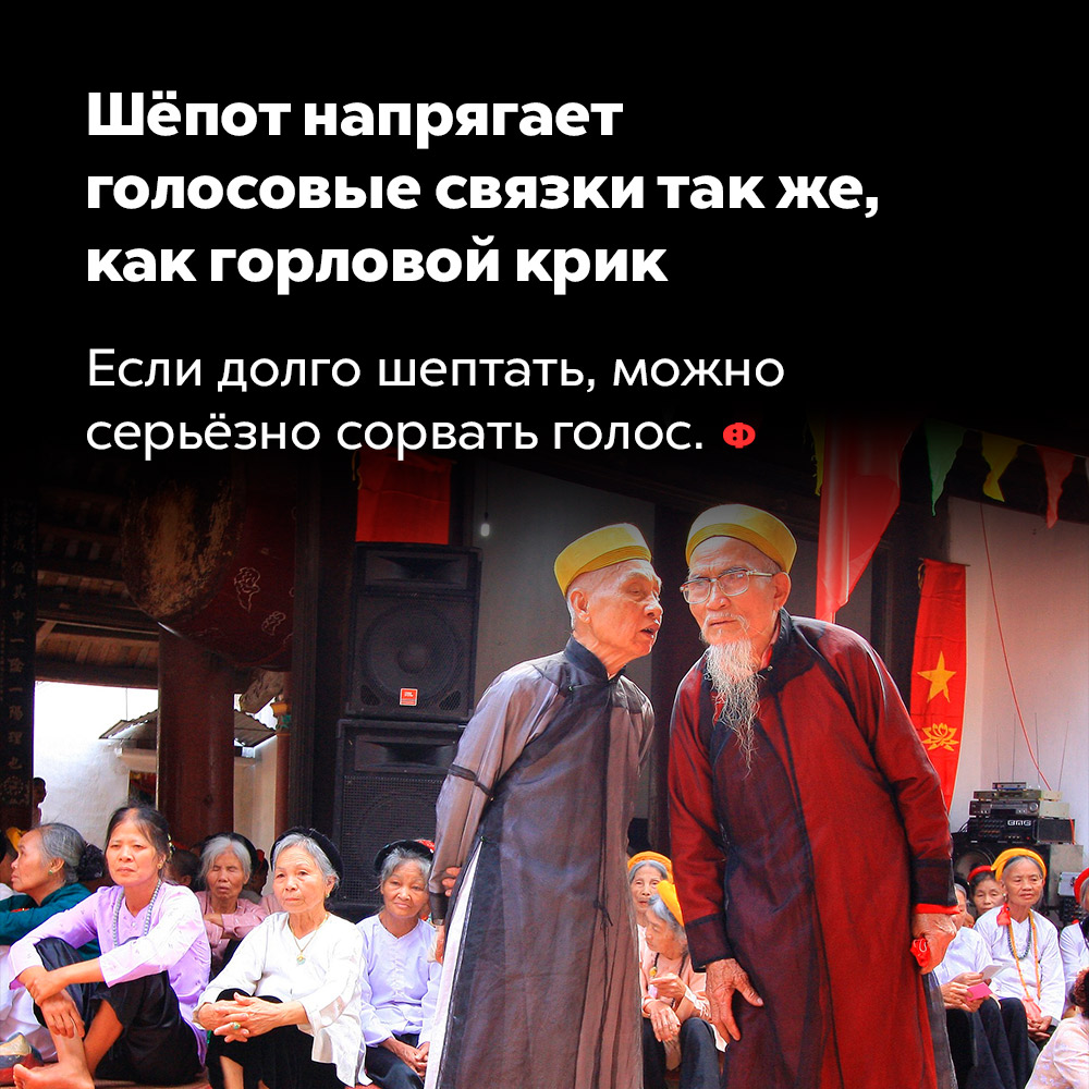 Шёпот напрягает голосовые связки так же, как горловой крик. Если долго шептать, можно серьёзно сорвать голос.