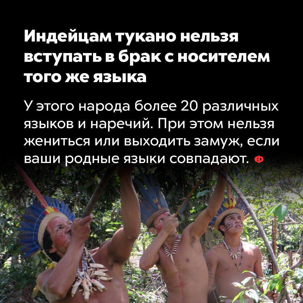 Индейцам тукано нельзя вступать в брак с носителем того же языка. У этого народа более 20 различных языков и наречий. При этом нельзя жениться или выходить замуж, если ваши родные языки совпадают.
