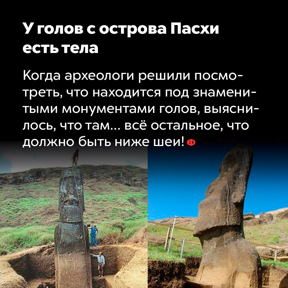 У голов с острова Пасхи есть тела. Когда археологи решили посмотреть, что находится под знаменитыми монументами голов, выяснилось, что там… всё остальное, что должно быть ниже шеи!