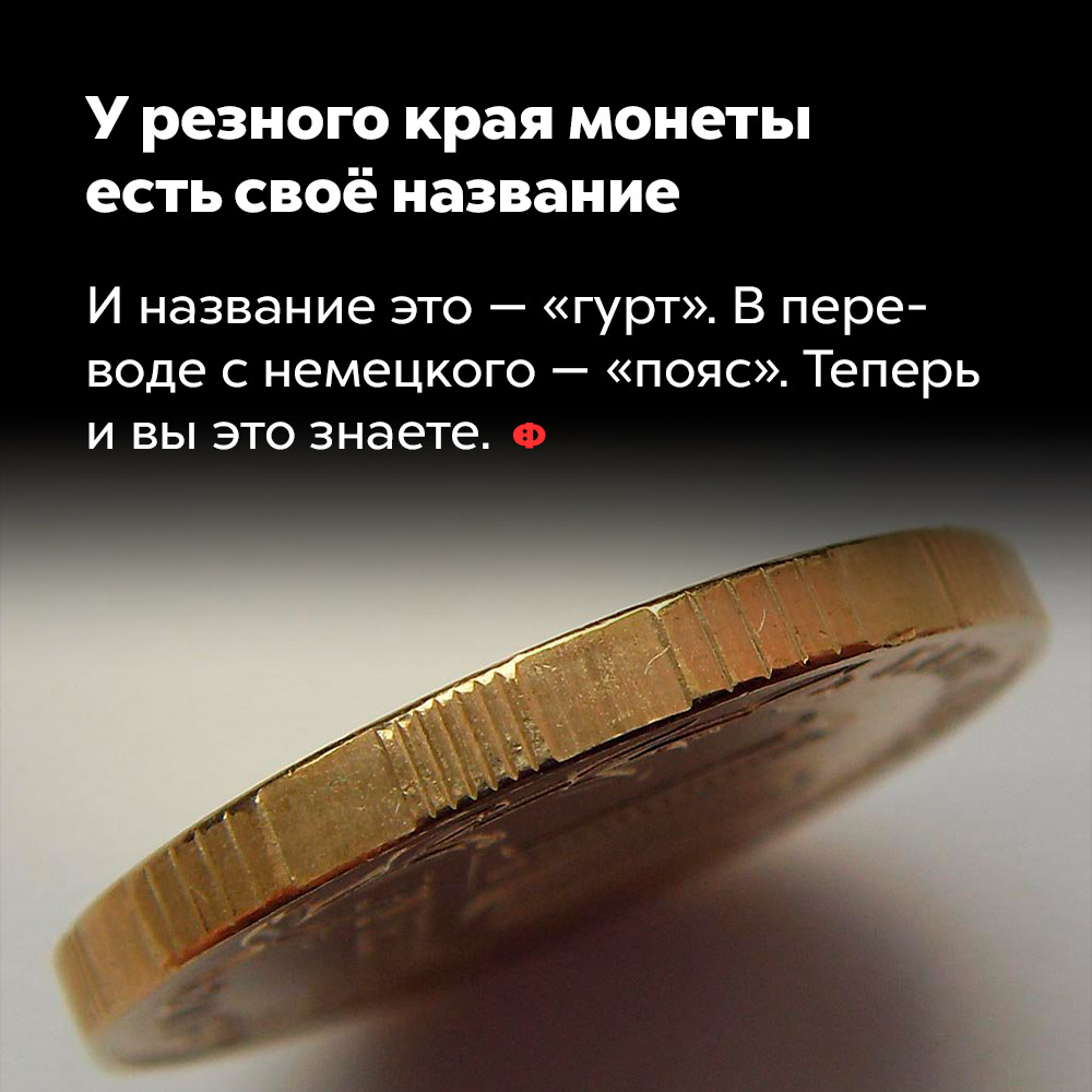 У резного края монеты есть своё название. И название это — «гурт», в переводе с немецкого — «пояс».