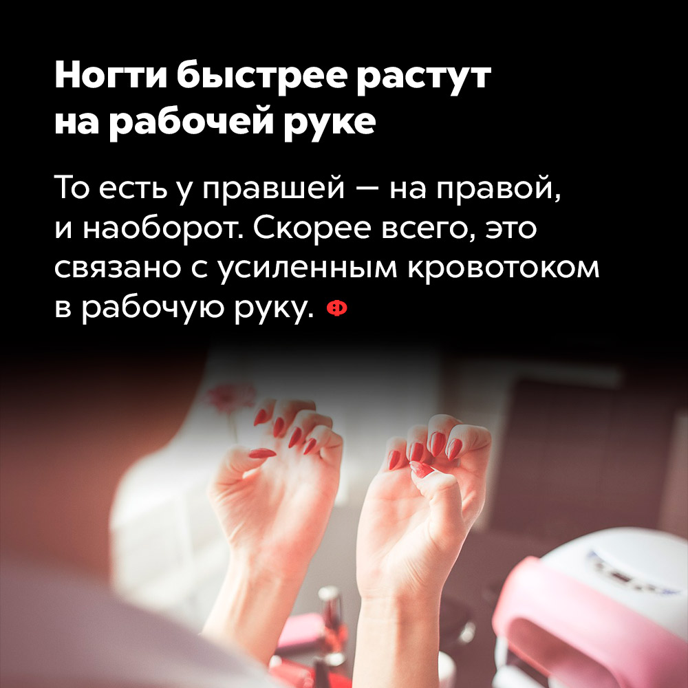 Ногти быстрее растут на рабочей руке. То есть у правшей — на правой и наоборот. Скорее всего, это связано с усиленным кровотоком в рабочую руку.