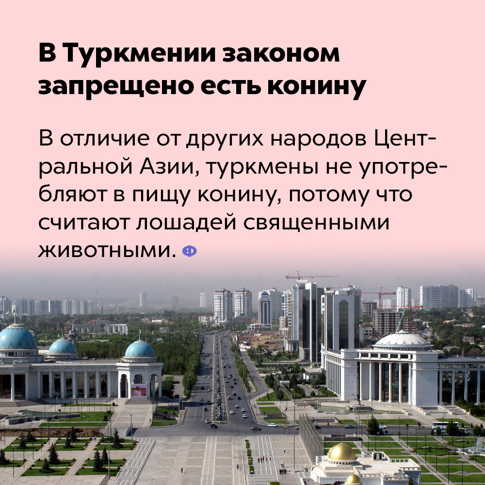 В Туркмении законом запрещено есть конину. В отличие от других народов Центральной Азии, туркмены не употребляют в пищу конину, потому что считают лошадей священными животными.