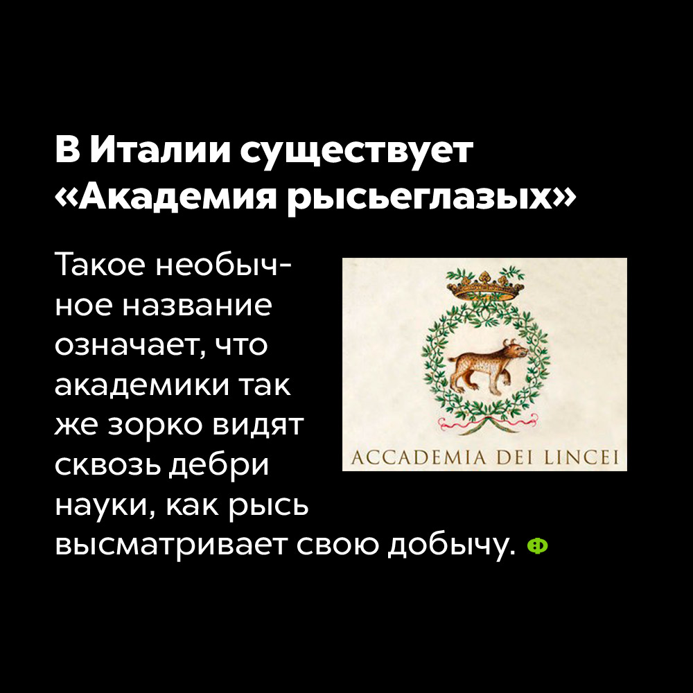 В Италии существует «Академия рысьеглазых». Такое необычное название означает, что академики так же зорко видят сквозь дебри науки, как рысь высматривает свою добычу.