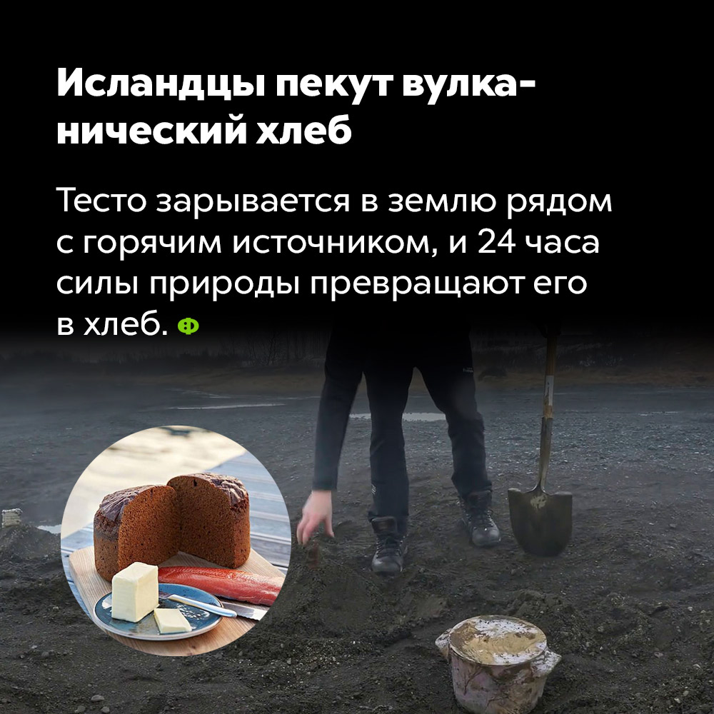 Исландцы пекут вулканический хлеб. Тесто зарывают в землю рядом с горячим источником и через 24 часа силы природы превращают его в хлеб.