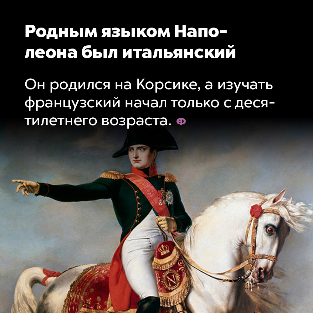 Родным языком Наполеона был итальянский. Он родился на Корсике, а изучать французский начал только с десятилетнего возраста.