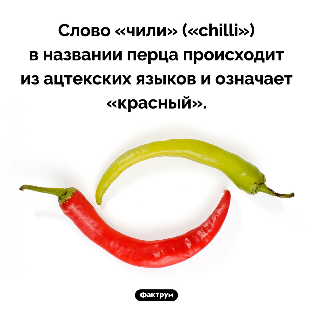 Перец чили назван не в честь страны. Слово «чили» («chilli») в названии перца происходит из ацтекских языков и означает «красный».