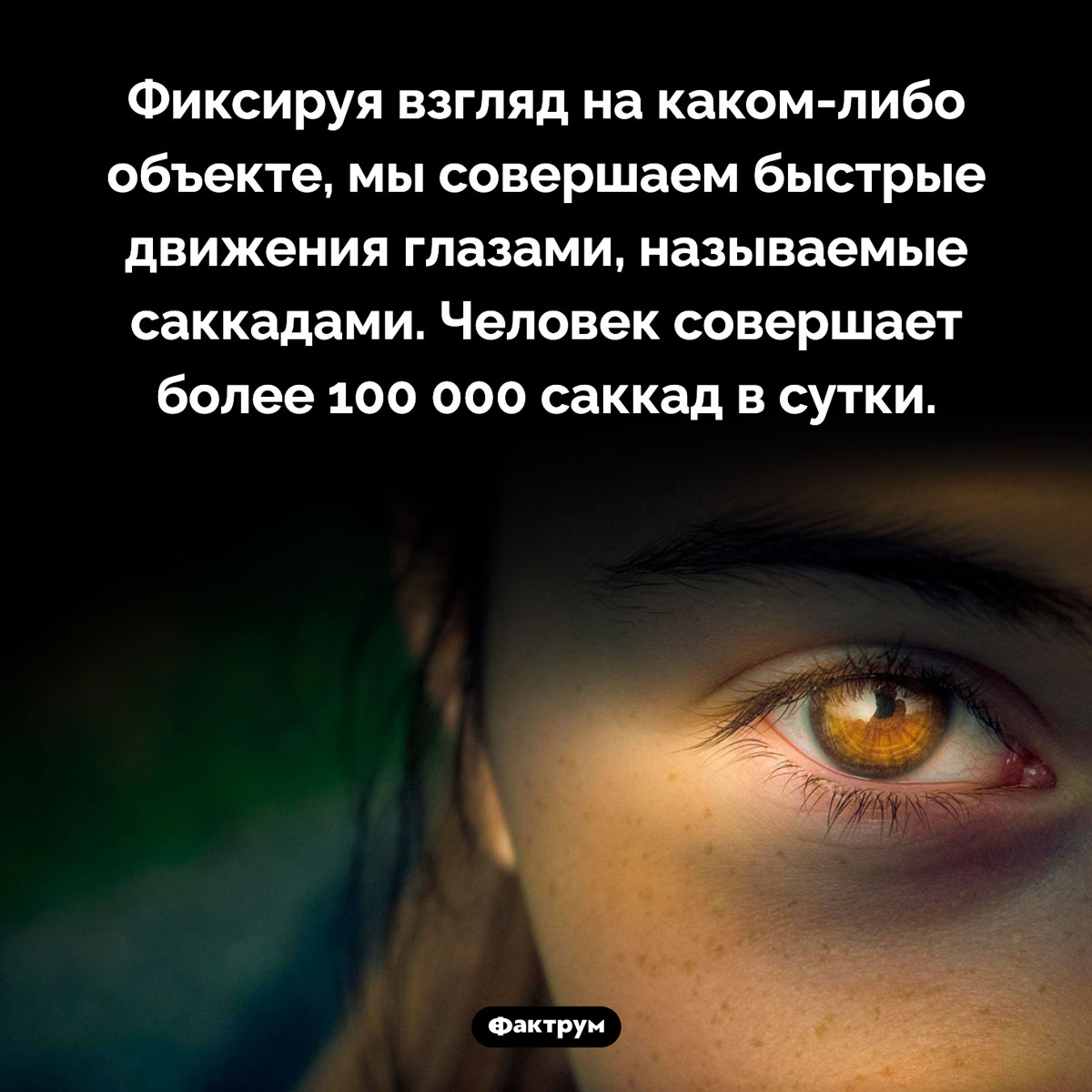 Что такое «саккады». Фиксируя взгляд на каком-либо объекте, мы совершаем быстрые движения глазами, называемые саккадами. Человек совершает более 100 000 саккад в сутки.