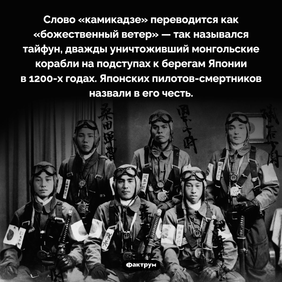 Что такое «камикадзе». Слово «камикадзе» переводится как «божественный ветер» — так назывался тайфун, дважды уничтоживший монгольские корабли на подступах к берегам Японии в 1200-х годах. Японских пилотов-смертников назвали в его честь.