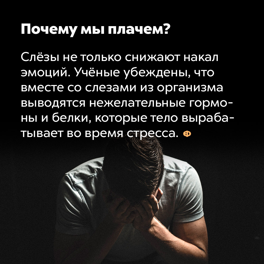 Почему мы плачем. Слёзы не только снижают накал эмоций. Учёные убеждены, что вместе со слезами из организма выводятся нежелательные гормоны и белки, которые тело вырабатывает во время стресса.