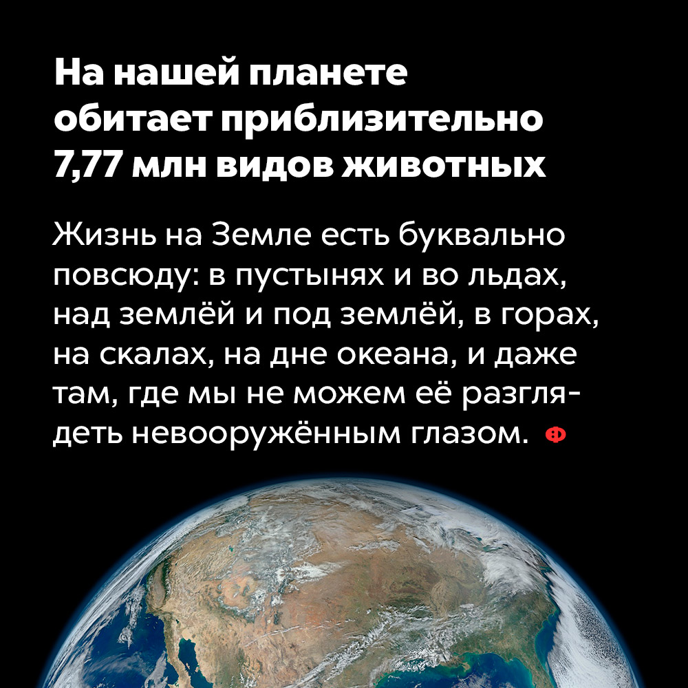 На нашей планете обитает приблизительно 7,77 млн видов животных. Жизнь на Земле есть буквально повсюду: в пустынях и во льдах, над землёй и под землёй, в горах, на скалах, на дне океана, и даже там, где мы не можем её разглядеть невооружённым глазом.