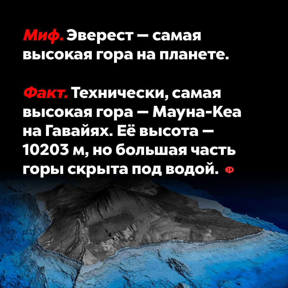 Эверест — самая высокая гора на планете.
