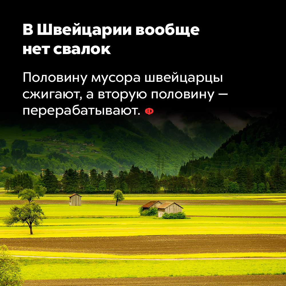 В Швейцарии вообще нет свалок. Половину мусора швейцарцы сжигают, а вторую половину — перерабатывают.