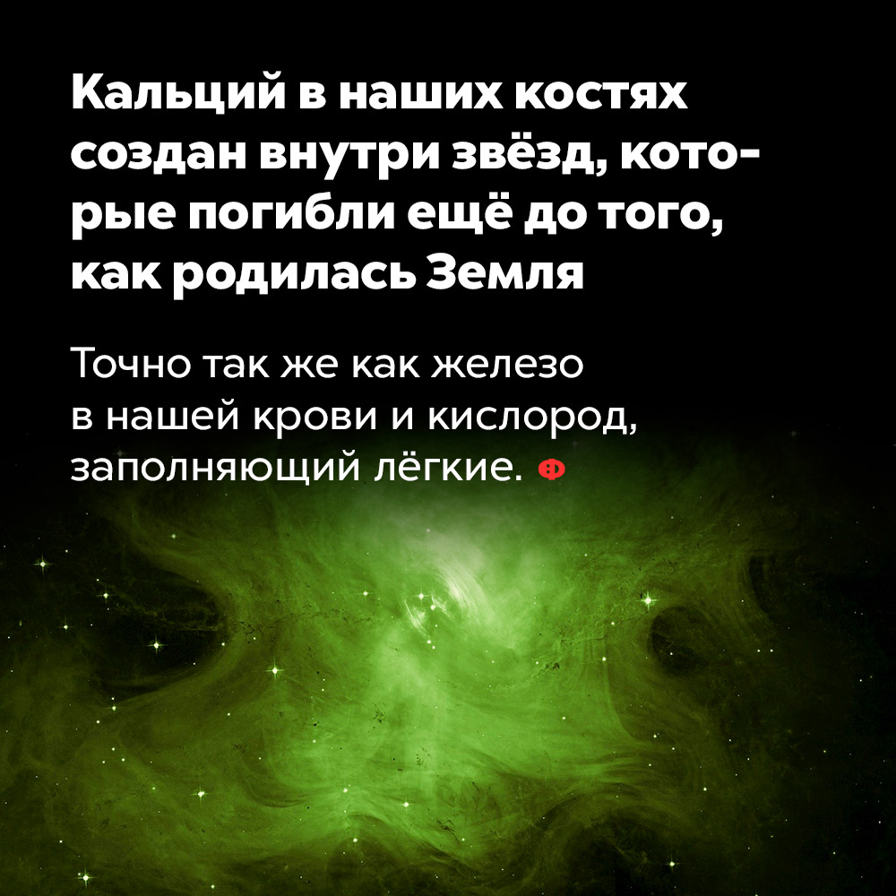 Кальций в наших костях создан внутри звёзд, которые погибли ещё до того, как родилась Земля. Точно так же, как железо в нашей крови и кислород, заполняющий лёгкие.