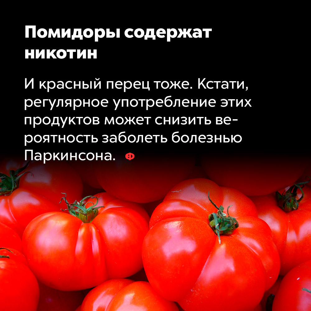 Помидоры содержат никотин. И красный перец тоже. Кстати, регулярное употребление этих продуктов может снизить вероятность заболеть болезнью Паркинсона. 