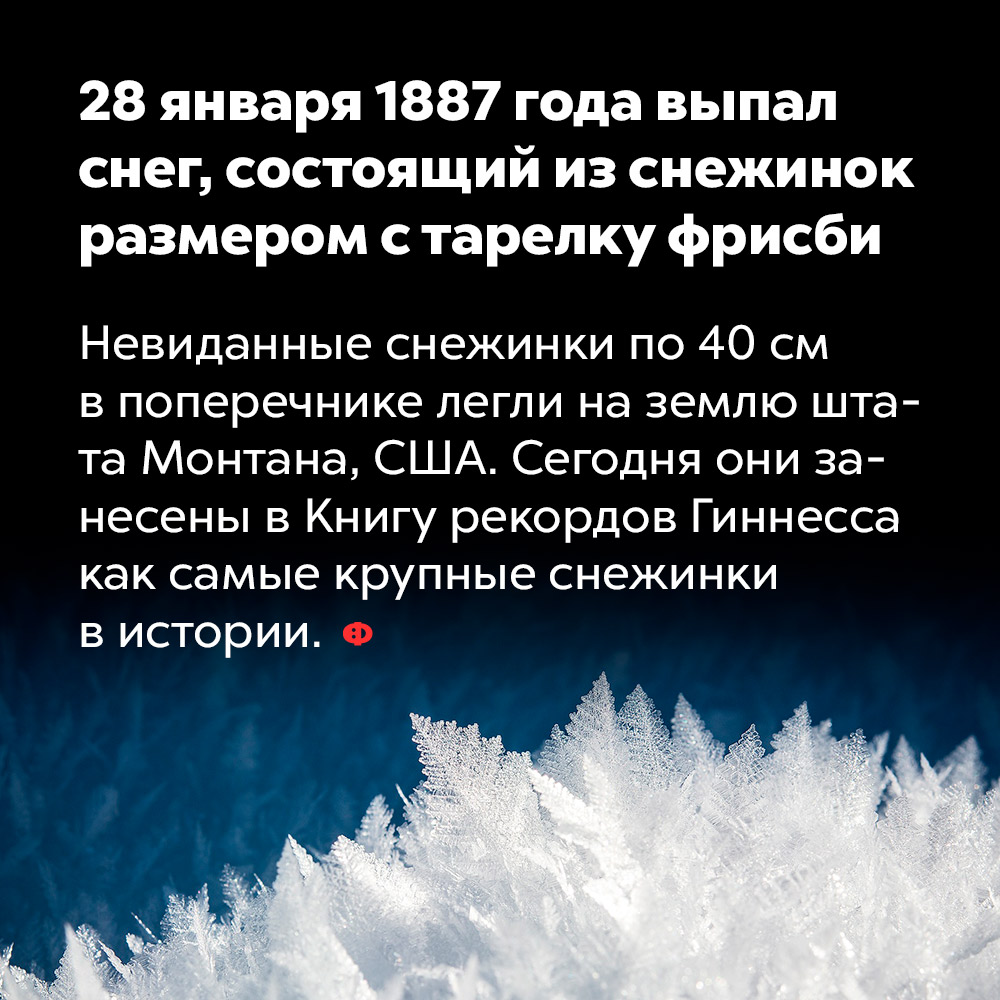 28 января 1887 года выпал снег, состоящий из снежинок размером с тарелку фрисби. Невиданные снежинки по 40 см в поперечнике легли на землю штата Монтана, США. Сегодня они занесены в Книгу рекордов Гиннесса как самые крупные снежинки в истории.