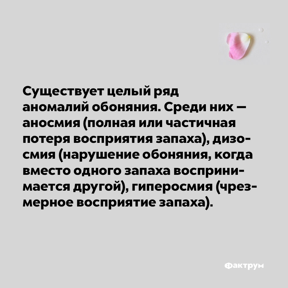 Существует целый ряд аномалий обоняния. Среди них — аносмия (полная или частичная потеря обоняния), дизосмия (нарушение обоняния, когда вместо одного запаха воспринимается другой), гиперосмия (чрезмерное восприятие запаха).