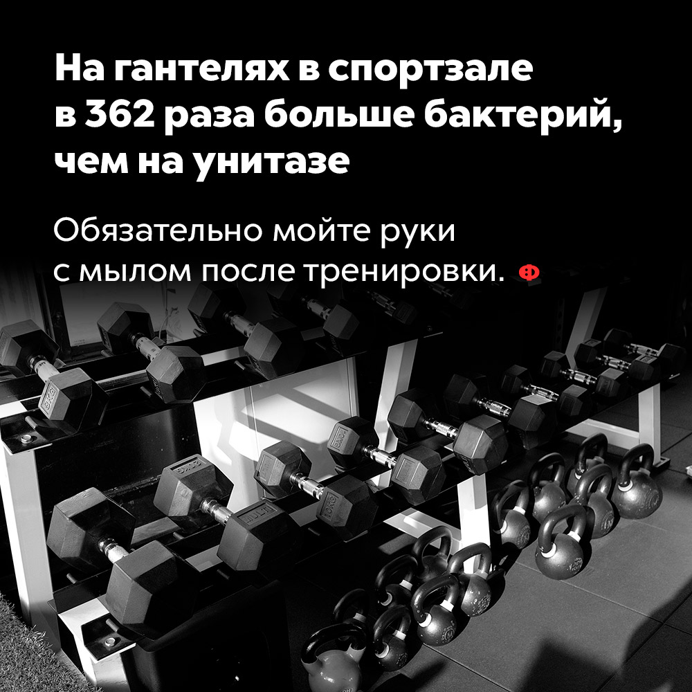 На гантелях в спортзале в 362 раза больше бактерий, чем на унитазе. Обязательно мойте руки с мылом после тренировки.