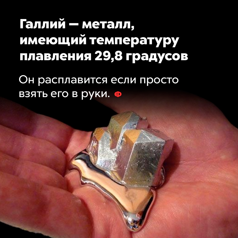 Галлий — металл, имеющий температуру плавления 29,8 градусов. Он расплавится, если просто взять его в руки.