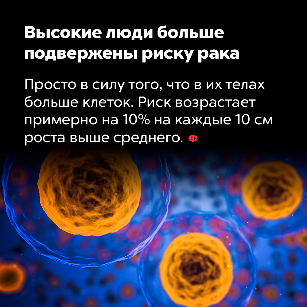Высокие люди больше подвержены риску рака. Просто в силу того, что в их телах больше клеток. Риск возрастает примерно на 10% на каждые 10 см роста выше среднего.