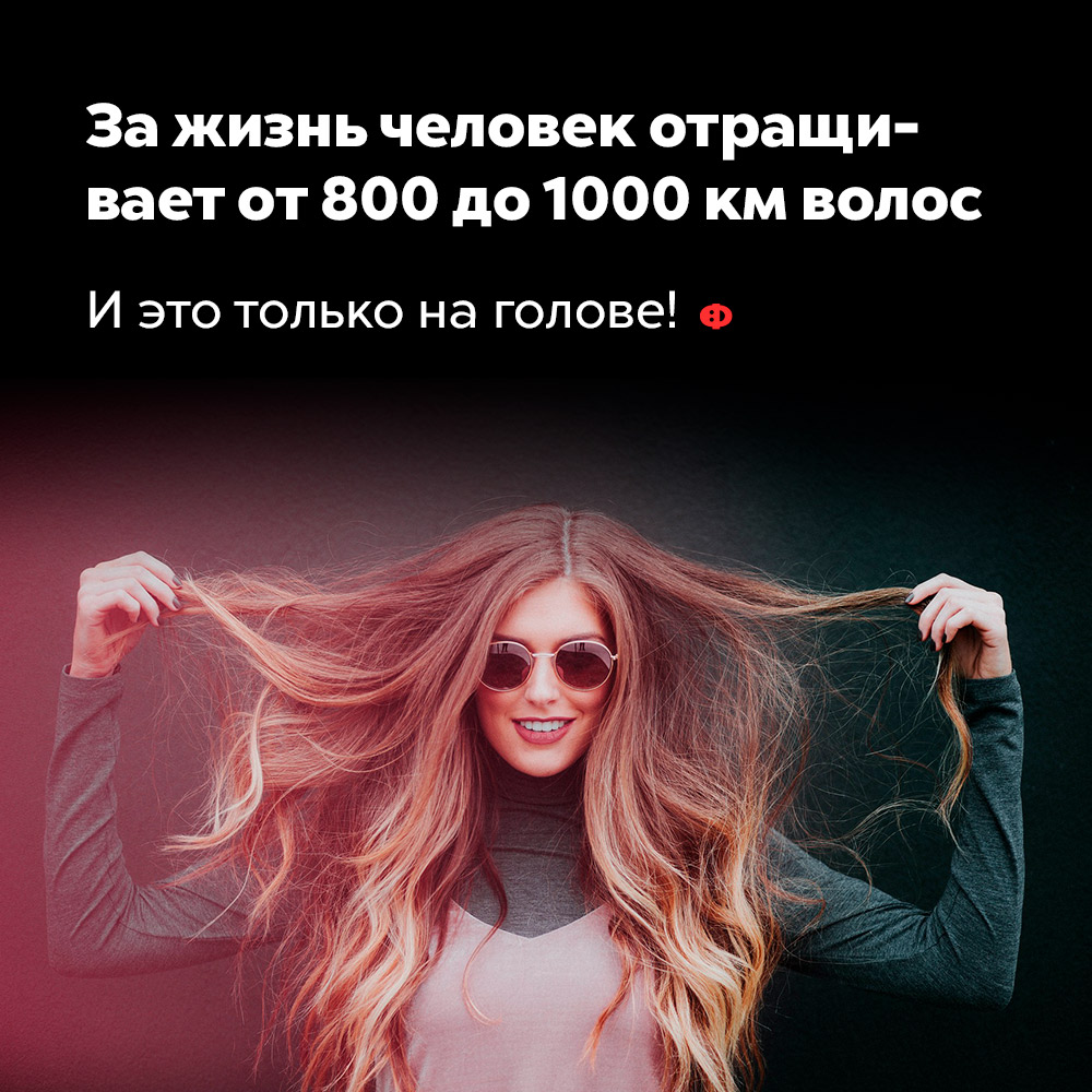 За жизнь человек отращивает от 800 до 1000 км волос. И это только на голове!