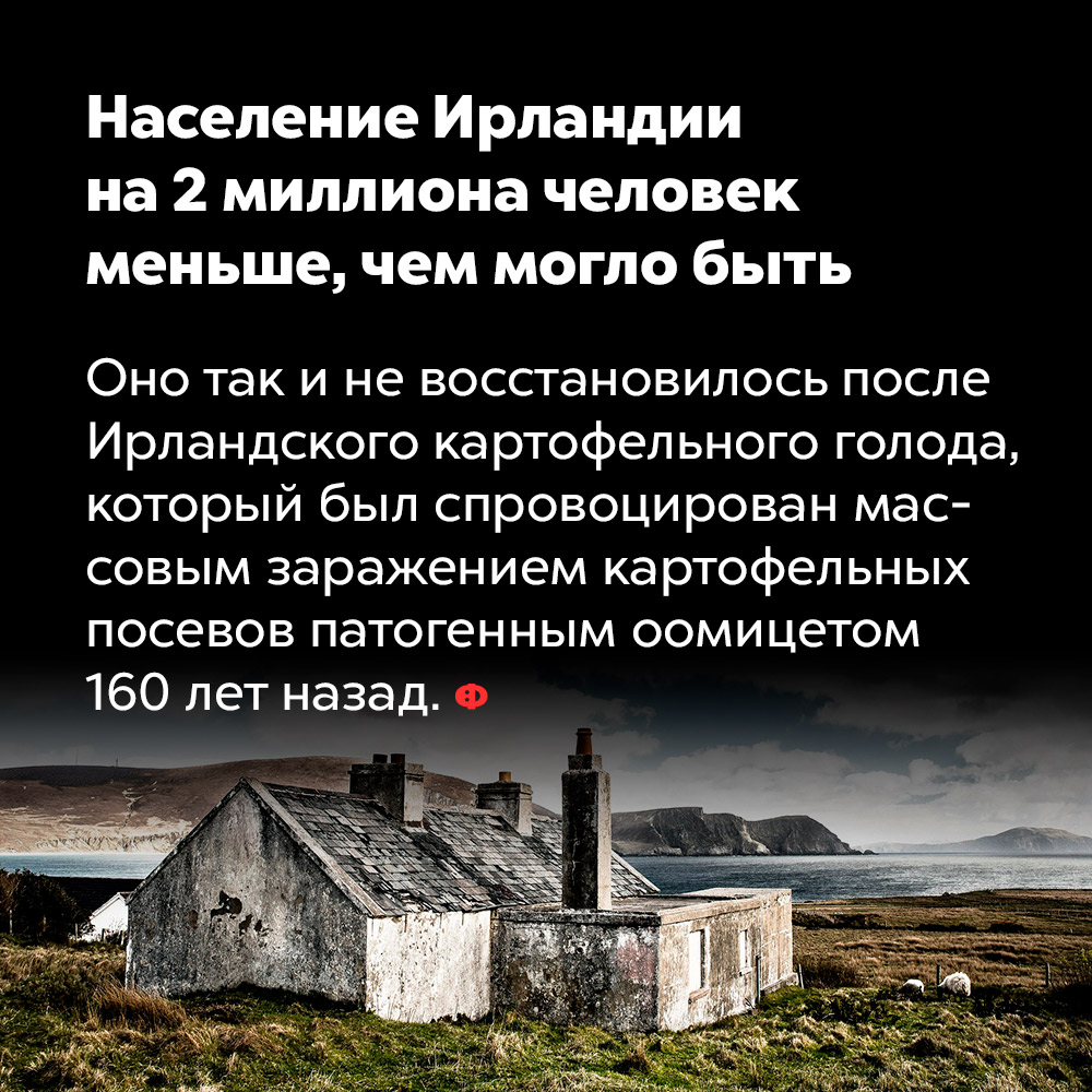 Население Ирландии на 2 миллиона человек меньше, чем могло быть. Оно так и не восстановилось после Ирландского картофельного голода, который был спровоцирован массовым заражением картофельных посевов патогенным оомицетом 160 лет назад.