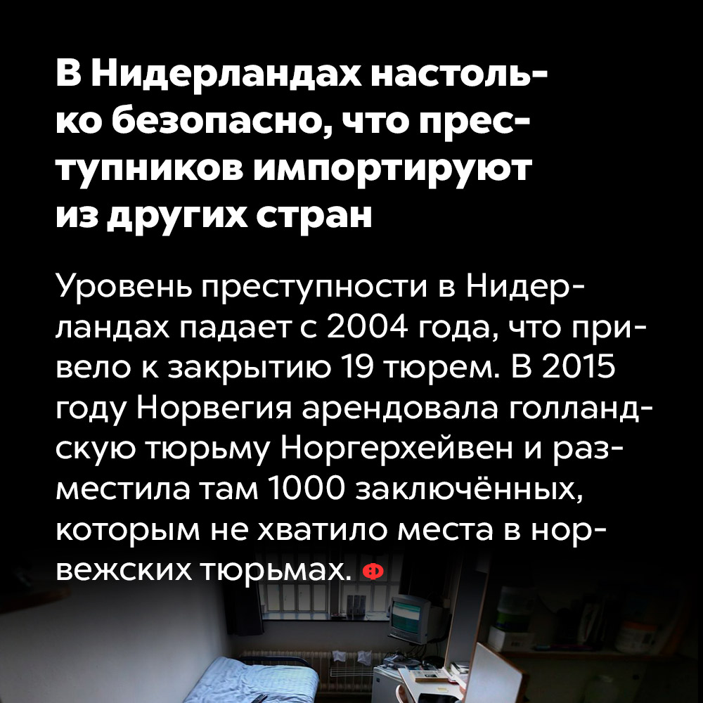 В Нидерландах настолько безопасно, что преступников импортируют из других стран. Уровень преступности в Нидерландах падает с 2004 года, что привело к закрытию 19 тюрем. В 2015 году Норвегия арендовала голландскую тюрьму Норгерхейвен и разместила там 1000 заключённых, которым не хватило место в норвежских тюрьмах.