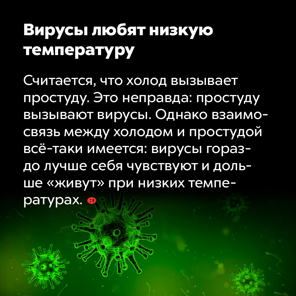 Вирусы любят низкую температуру. Считается, что холод вызывает простуду. Это неправда: простуду вызывают вирусы. Однако взаимосвязь между холодом и простудой всё-таки имеется: вирусы гораздо лучше себя чувствуют и дольше «живут» при низких температурах.