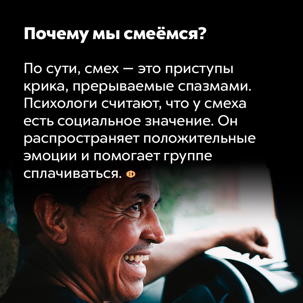 Почему мы смеёмся. По сути, смех — это приступы крика, прерываемые спазмами. Психологи считают, что у смеха есть социальное значение. Он распространяет положительные эмоции и помогает группе сплачиваться.