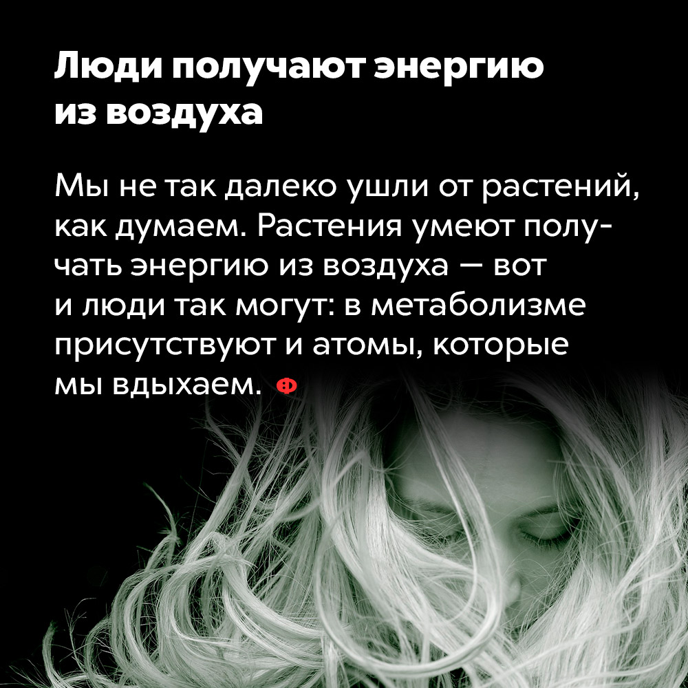 Люди получают энергию из воздуха. Мы не так далеко ушли от растений, как думаем. Растения умеют получать энергию из воздуха — вот и люди так могут: в метаболизме присутствуют и атомы, которые мы вдыхаем.