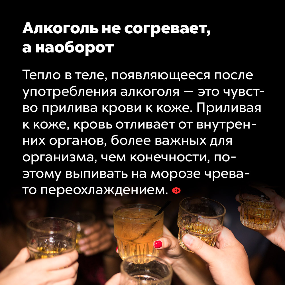 Алкоголь не согревает, а наоборот. Тепло в теле, проявляющееся после употребления алкоголя — это чувство прилива крови к коже. Приливая к коже, кровь отливает от внутренних органов, более важных для организма, чем конечности, поэтому выпивать на морозе чревато переохлаждением.